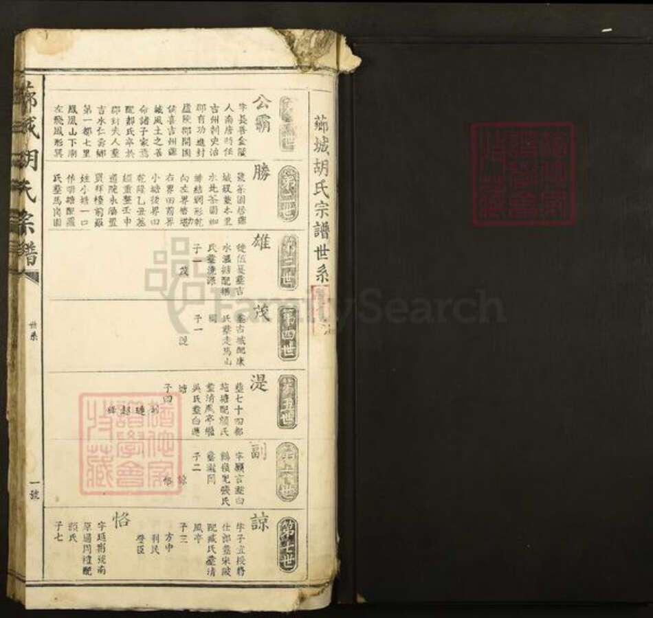 江西省吉安市青原区值夏镇胡氏族谱-芗城胡氏宗谱.pdf电子版预览图1