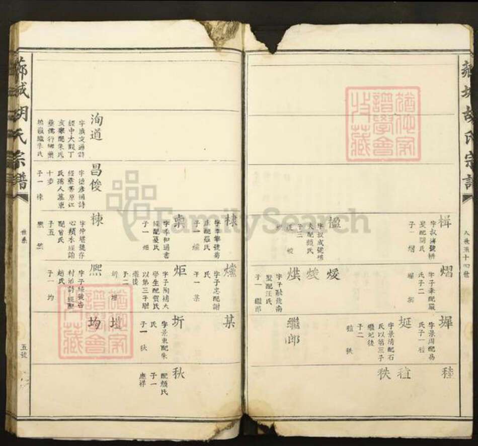 江西省吉安市青原区值夏镇胡氏族谱-芗城胡氏宗谱.pdf电子版预览图5