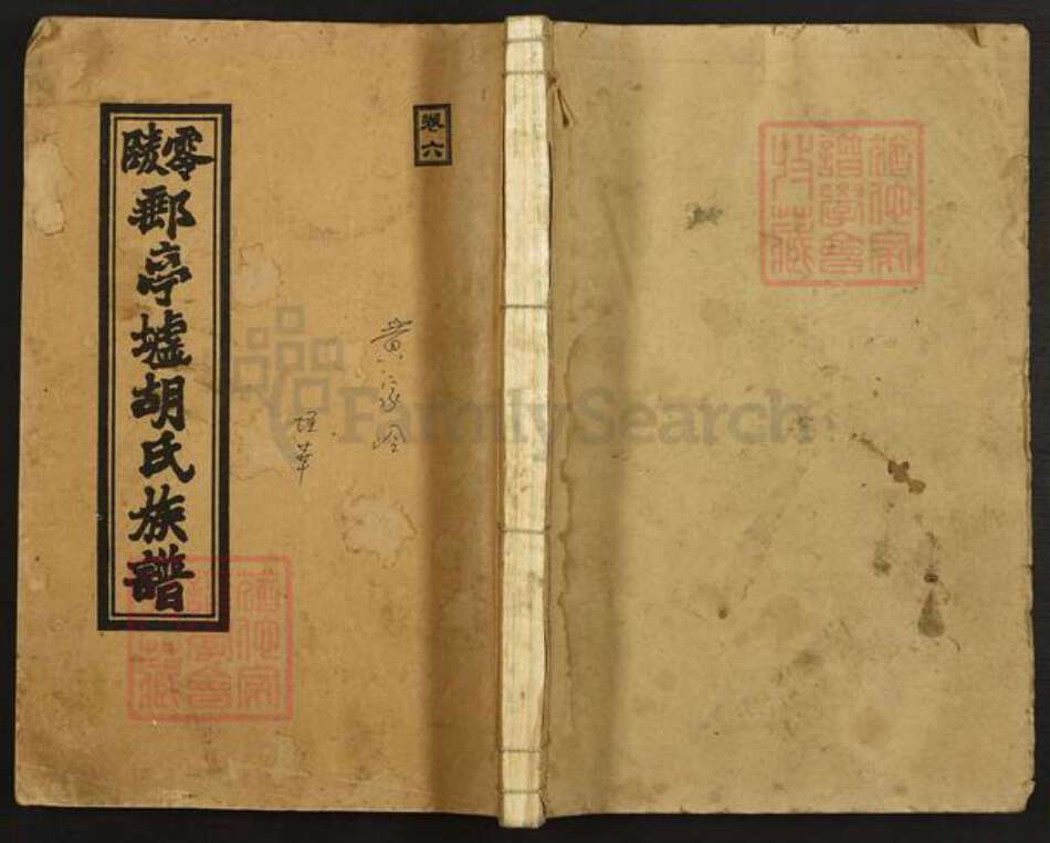 湖南省永州市零陵区胡氏安定堂族谱-零陵邮亭墟胡氏族谱.pdf电子版缩略图