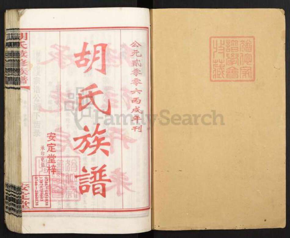 湖南省永州市零陵区胡氏安定堂族谱-零陵邮亭墟胡氏族谱.pdf电子版预览图1