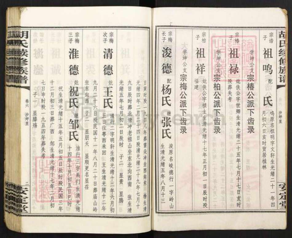 湖南省永州市零陵区胡氏安定堂族谱-零陵邮亭墟胡氏族谱.pdf电子版预览图3