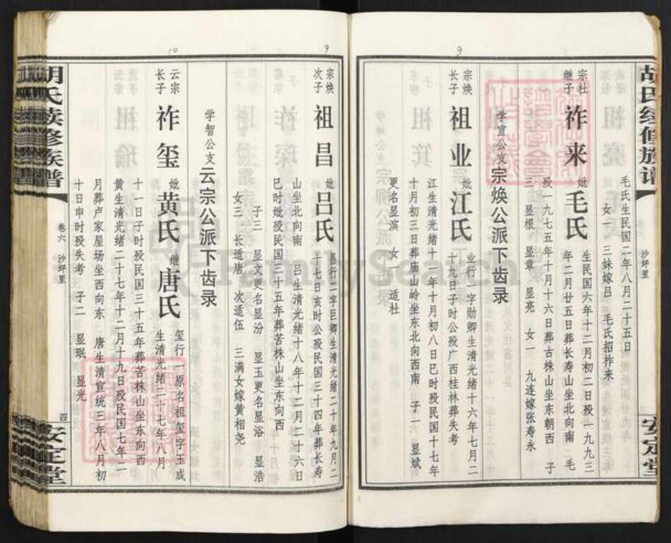 湖南省永州市零陵区胡氏安定堂族谱-零陵邮亭墟胡氏族谱.pdf电子版预览图5