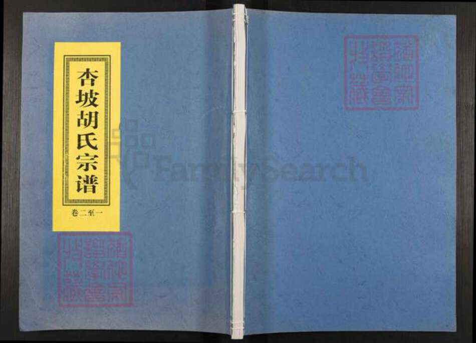 浙江省杭州市淳安县县梓桐镇胡氏仁亲堂族谱-杏坡胡氏宗谱.pdf电子版缩略图