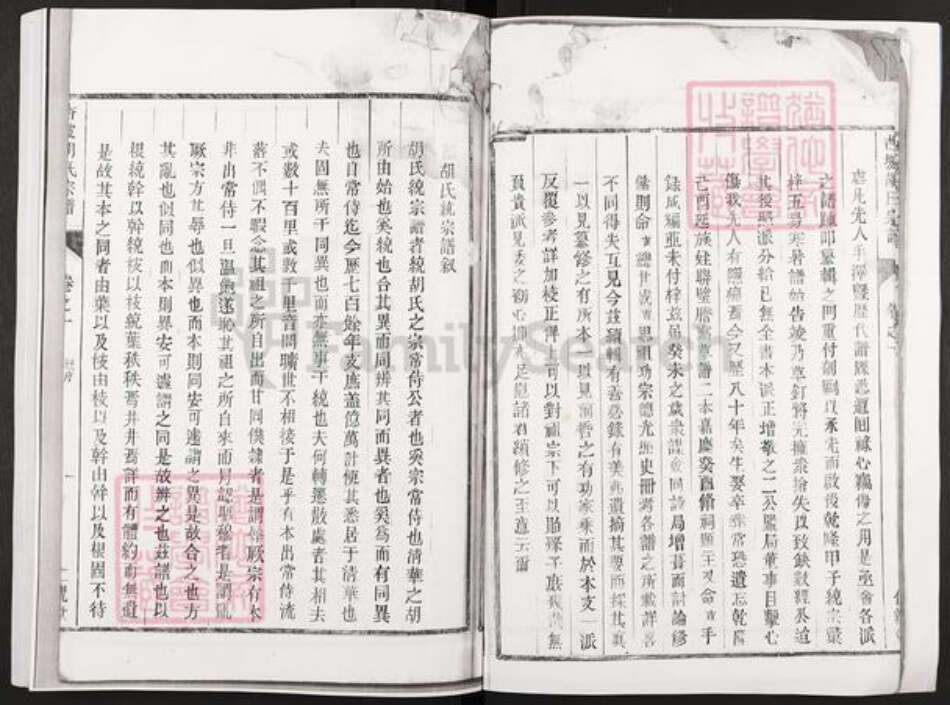 浙江省杭州市淳安县县梓桐镇胡氏仁亲堂族谱-杏坡胡氏宗谱.pdf电子版预览图4