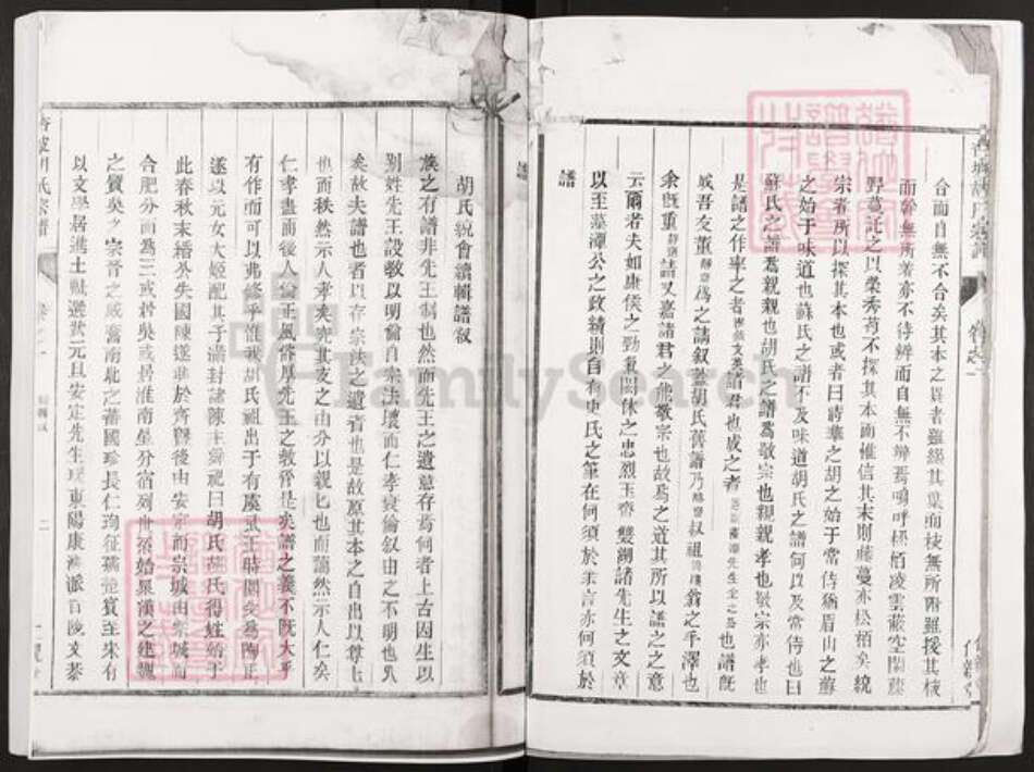 浙江省杭州市淳安县县梓桐镇胡氏仁亲堂族谱-杏坡胡氏宗谱.pdf电子版预览图5