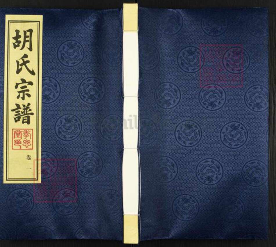 江苏省常州市金坛区儒林镇胡氏孝思堂族谱-胡氏宗谱.pdf电子版缩略图