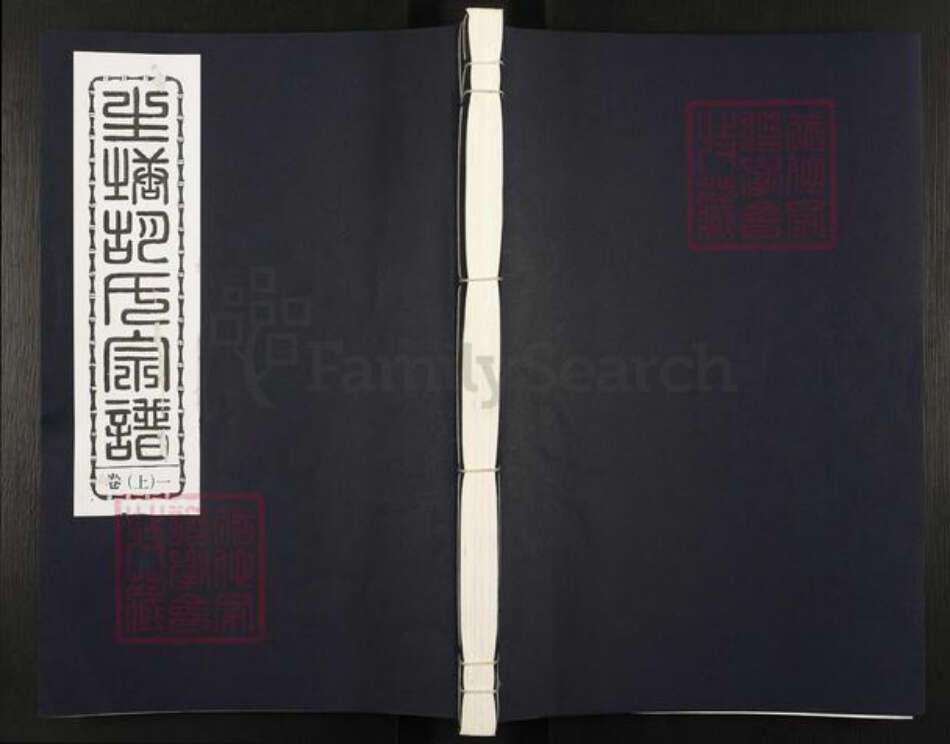 浙江省金华市兰溪市水亭畬族乡胡氏族谱-生塘胡氏宗谱.pdf电子版缩略图