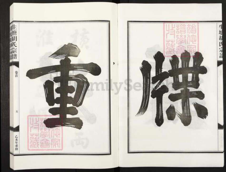 浙江省金华市兰溪市水亭畬族乡胡氏族谱-生塘胡氏宗谱.pdf电子版预览图5