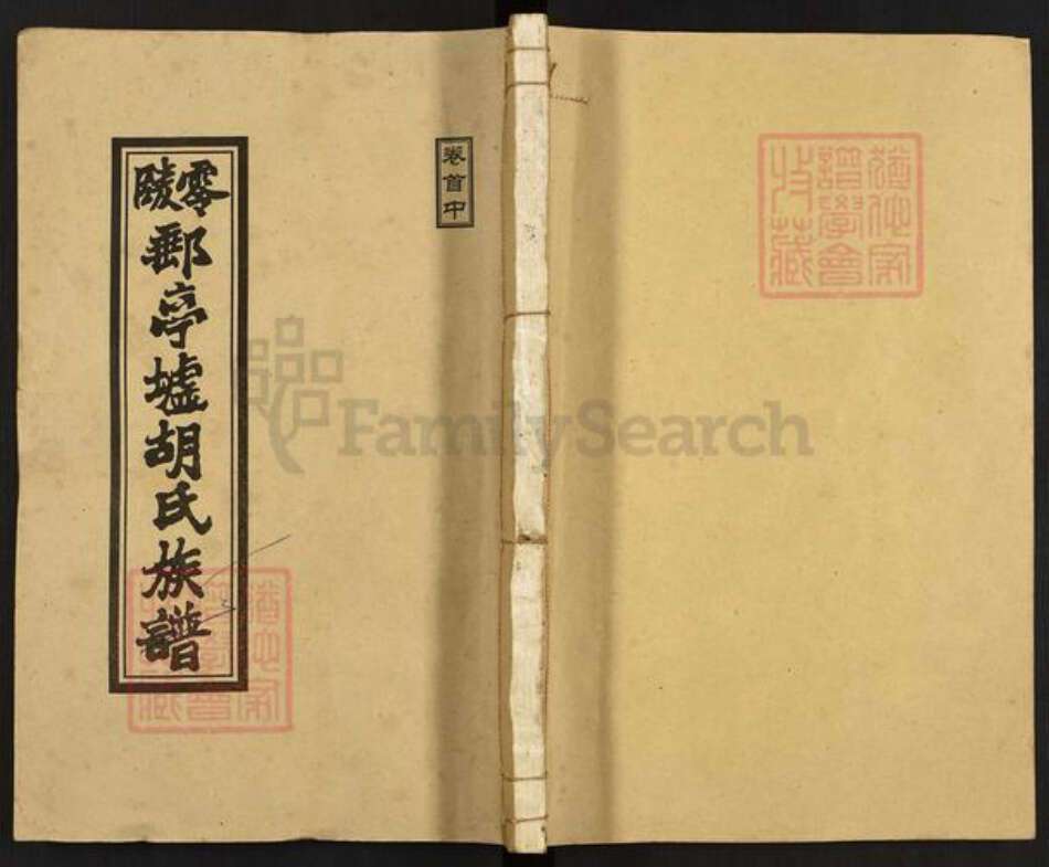 湖南省永州市零陵区胡氏安定堂族谱-零陵邮亭墟胡氏族谱.pdf电子版缩略图