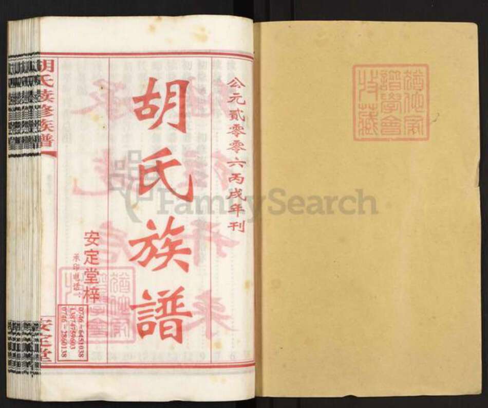 湖南省永州市零陵区胡氏安定堂族谱-零陵邮亭墟胡氏族谱.pdf电子版预览图1