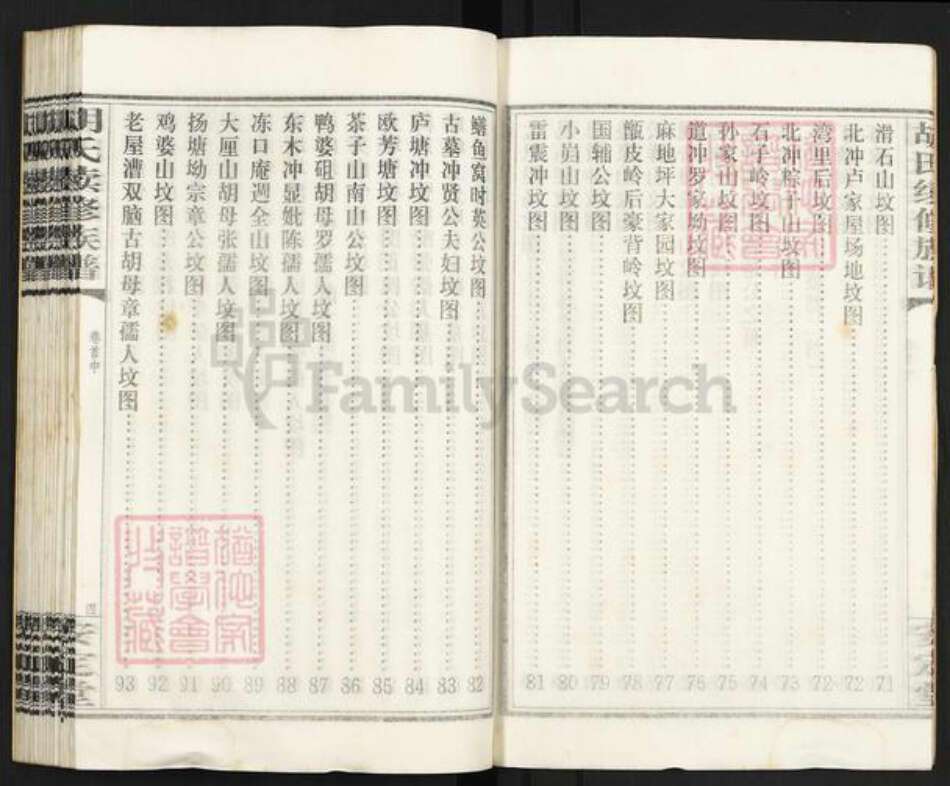 湖南省永州市零陵区胡氏安定堂族谱-零陵邮亭墟胡氏族谱.pdf电子版预览图5