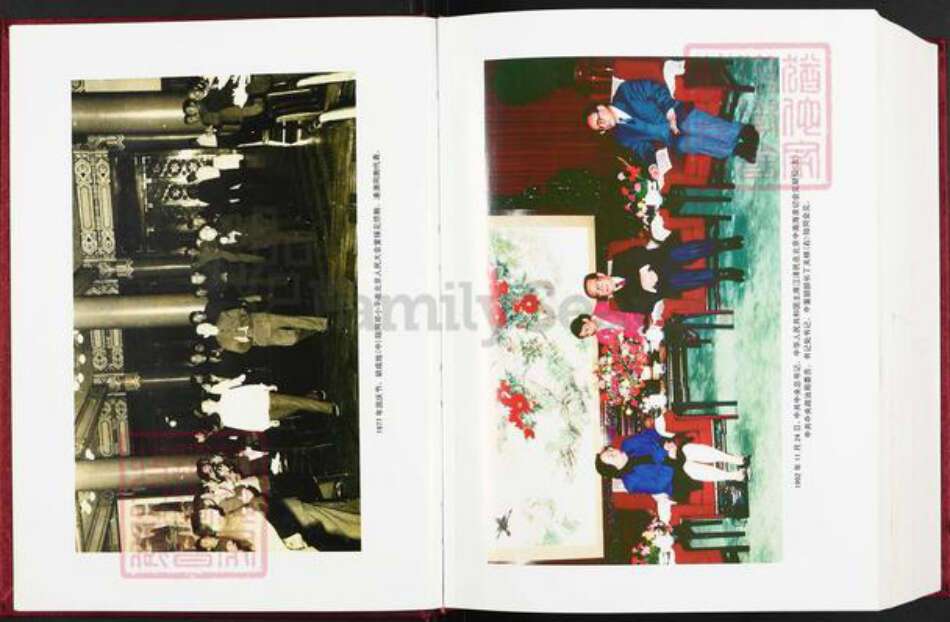 福建省龙岩市永定区下洋镇胡氏安定堂族谱-福建永定胡氏族谱.pdf电子版预览图3