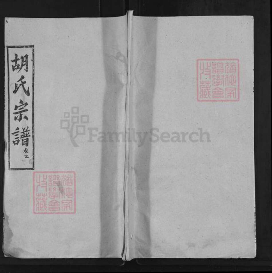 湖北省武汉市新洲区胡氏安定堂族谱-胡氏宗谱.pdf电子版缩略图