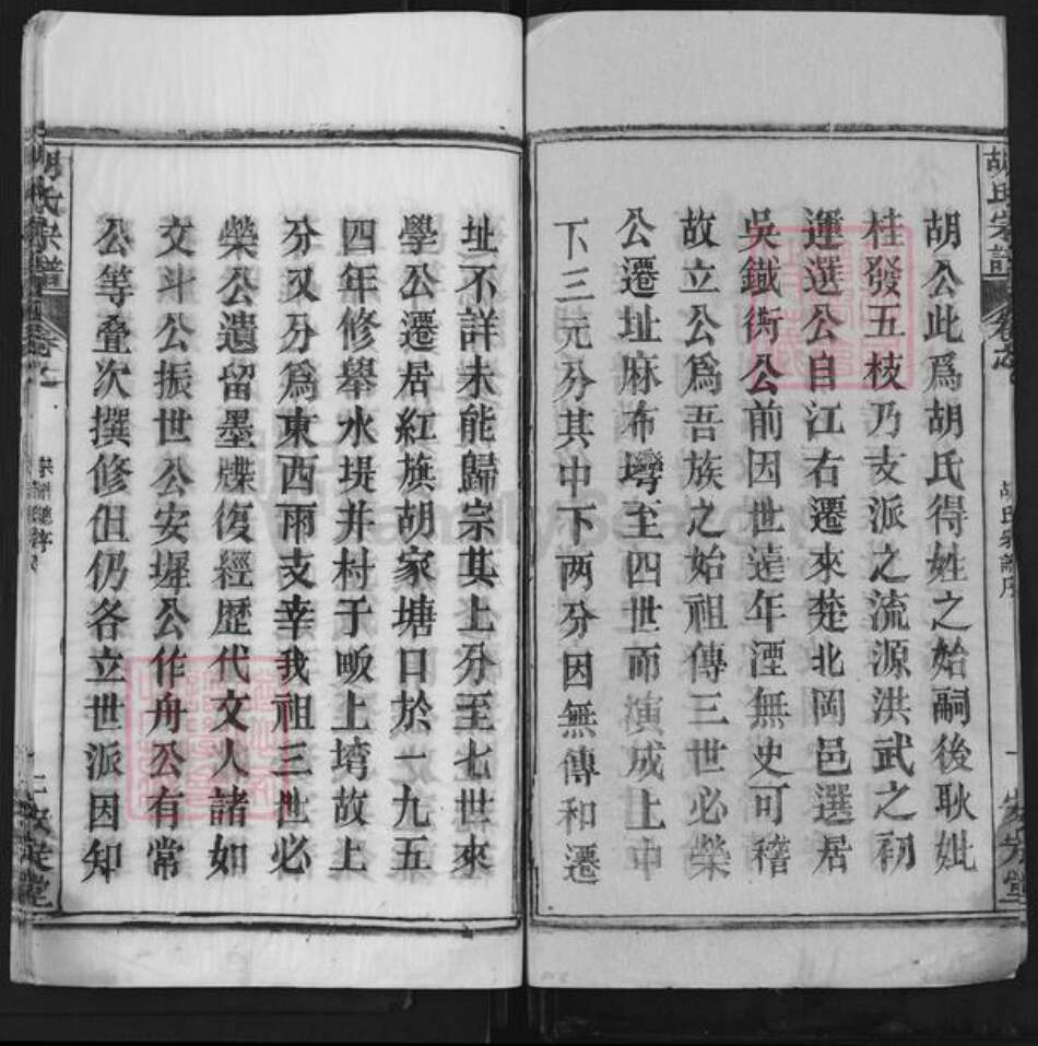 湖北省武汉市新洲区胡氏安定堂族谱-胡氏宗谱.pdf电子版预览图2