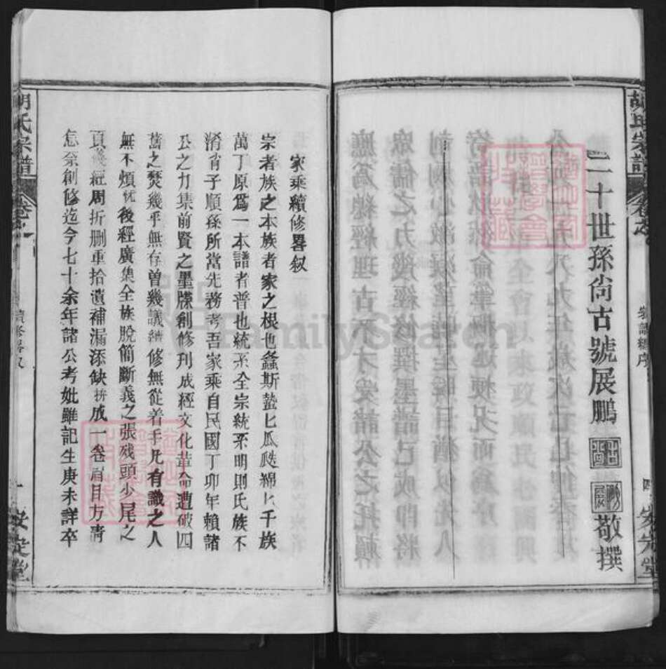 湖北省武汉市新洲区胡氏安定堂族谱-胡氏宗谱.pdf电子版预览图5