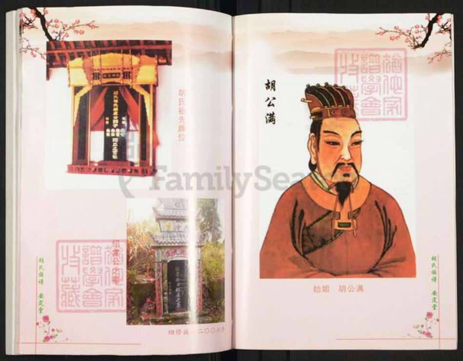 湖南省常德市桃源县九溪镇胡氏安定堂族谱-胡氏四修族谱(再版).pdf电子版预览图3