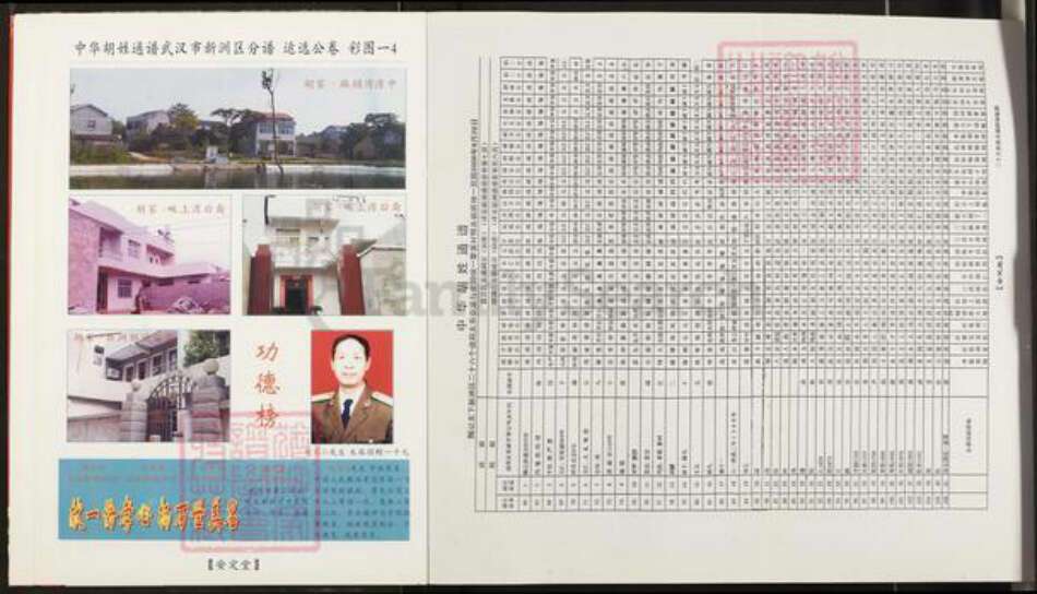 湖北省武汉市新洲区胡氏安定堂族谱-中华胡姓通谱.武汉市新洲区分谱.pdf电子版预览图4