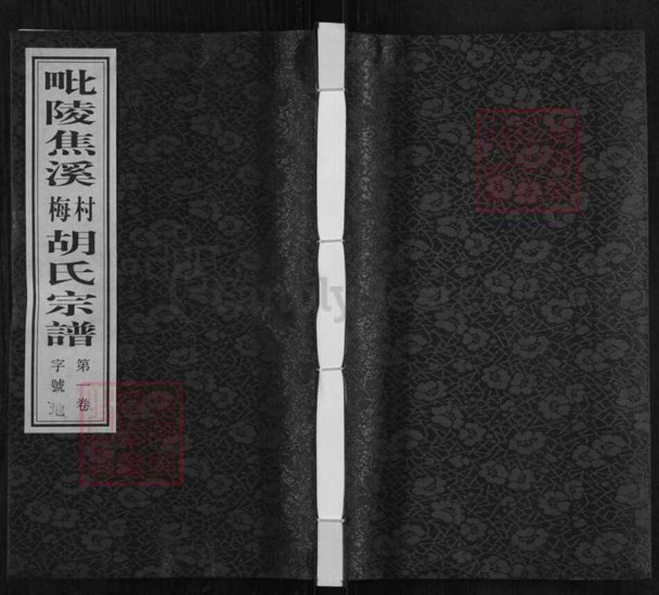 江苏省常州市天宁区郑陆镇胡氏传麟堂族谱-毗陵焦溪梅村胡氏宗谱.pdf电子版缩略图