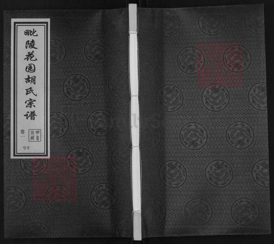 江苏省常州市武进县胡氏明善堂族谱-毗陵花园胡氏宗谱.pdf电子版缩略图