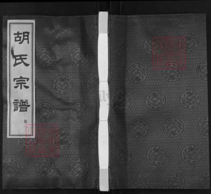 江苏省常州市武进县胡氏乐善堂族谱-胡氏宗谱.pdf电子版缩略图