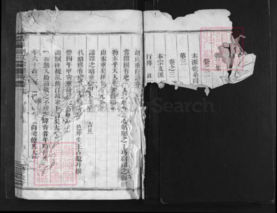 浙江省金华市兰溪市赤溪街道胡氏余庆堂族谱-浩峰胡氏宗谱.pdf电子版预览图2