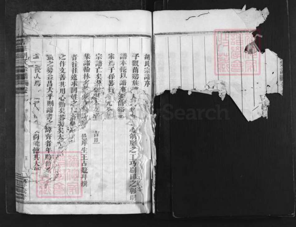 浙江省金华市兰溪市赤溪街道胡氏余庆堂族谱-浩峰胡氏宗谱.pdf电子版预览图4