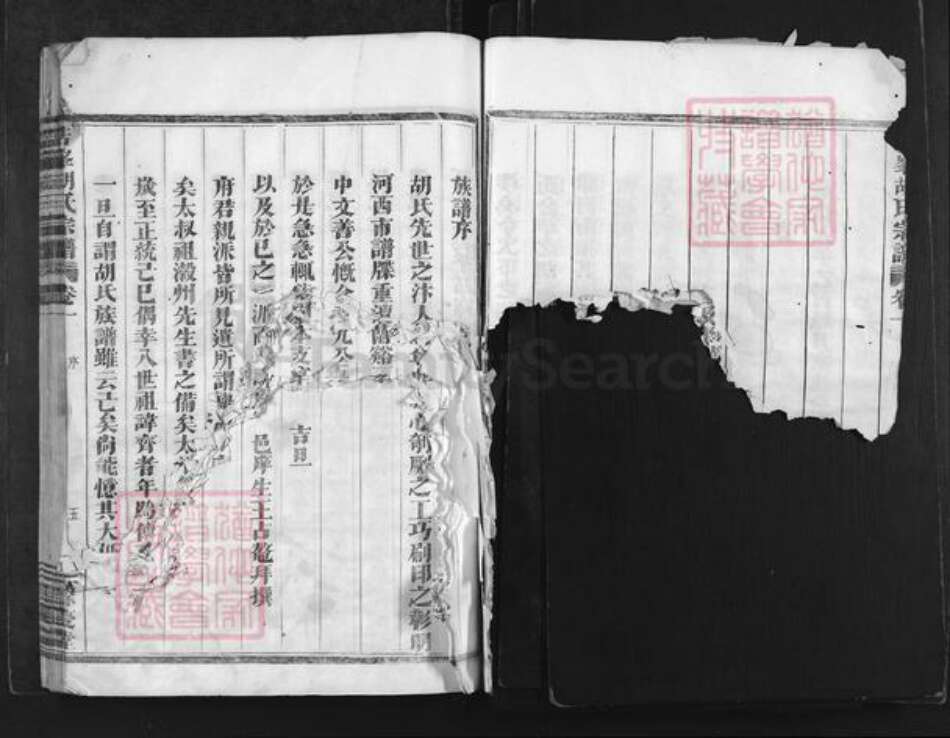 浙江省金华市兰溪市赤溪街道胡氏余庆堂族谱-浩峰胡氏宗谱.pdf电子版预览图5