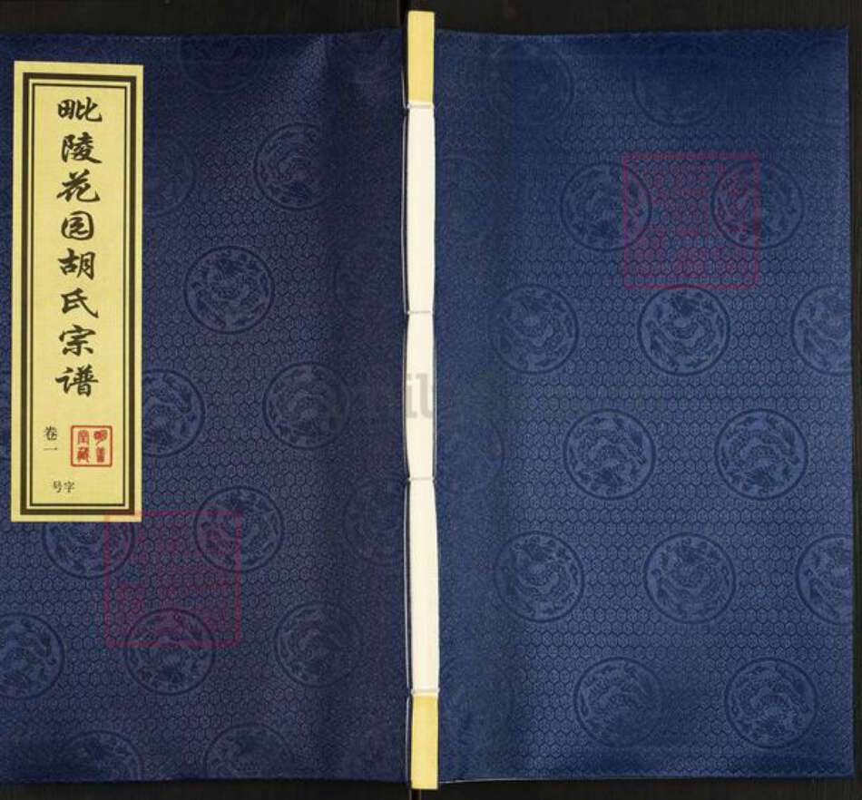 江苏省常州市武进县胡氏明善堂族谱-毗陵花园胡氏宗谱.pdf电子版缩略图