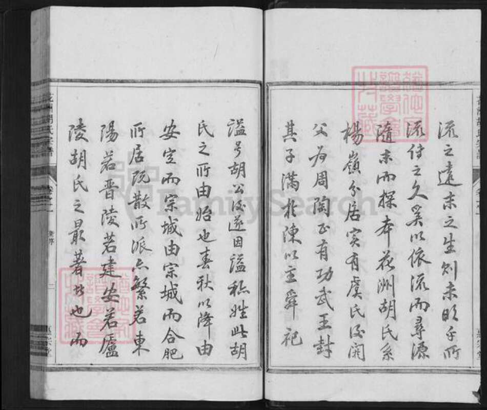 安徽省芜湖市南陵县胡氏惠宗堂族谱-花洲胡氏宗谱.pdf电子版预览图2