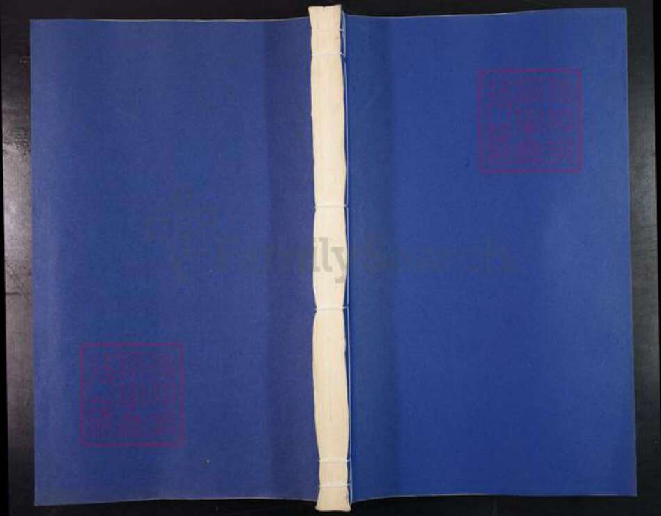 浙江省金华市东阳市胡氏族谱-高平胡氏宗谱.pdf电子版缩略图