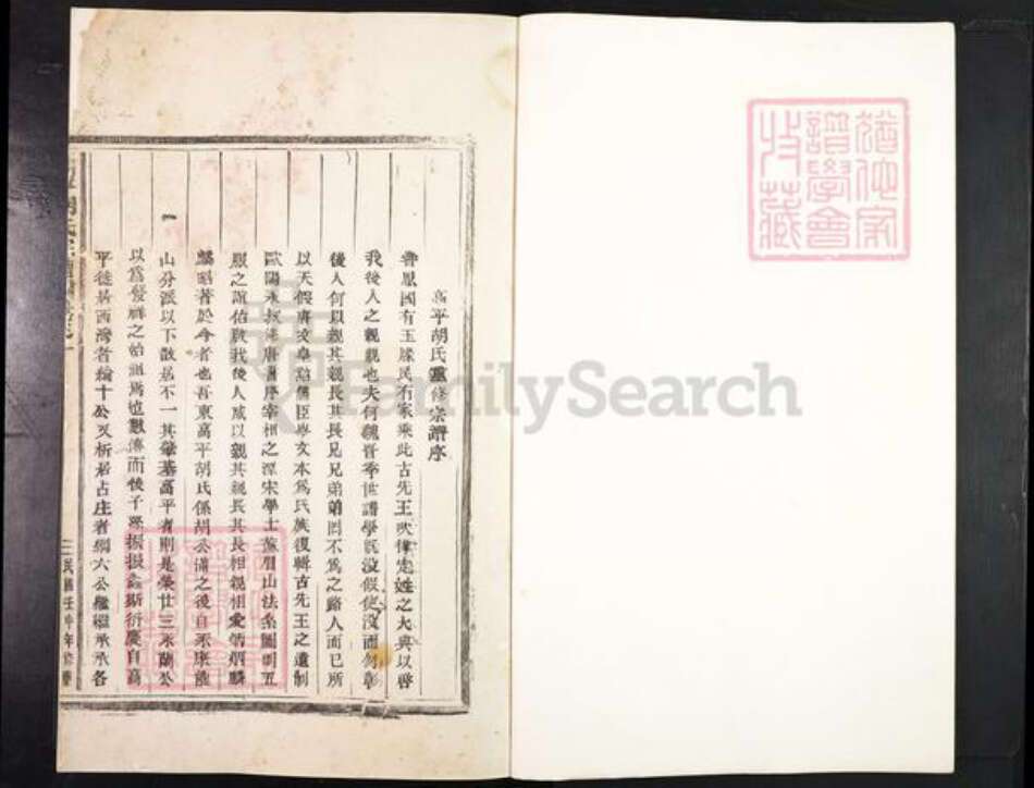 浙江省金华市东阳市胡氏族谱-高平胡氏宗谱.pdf电子版预览图1