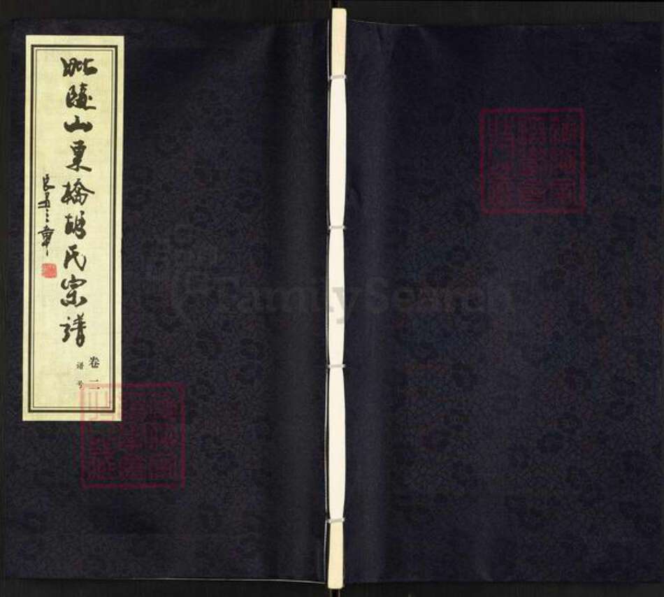 江苏省常州市武进县胡氏大雅堂族谱-毗陵山东桥胡氏宗谱.pdf电子版缩略图