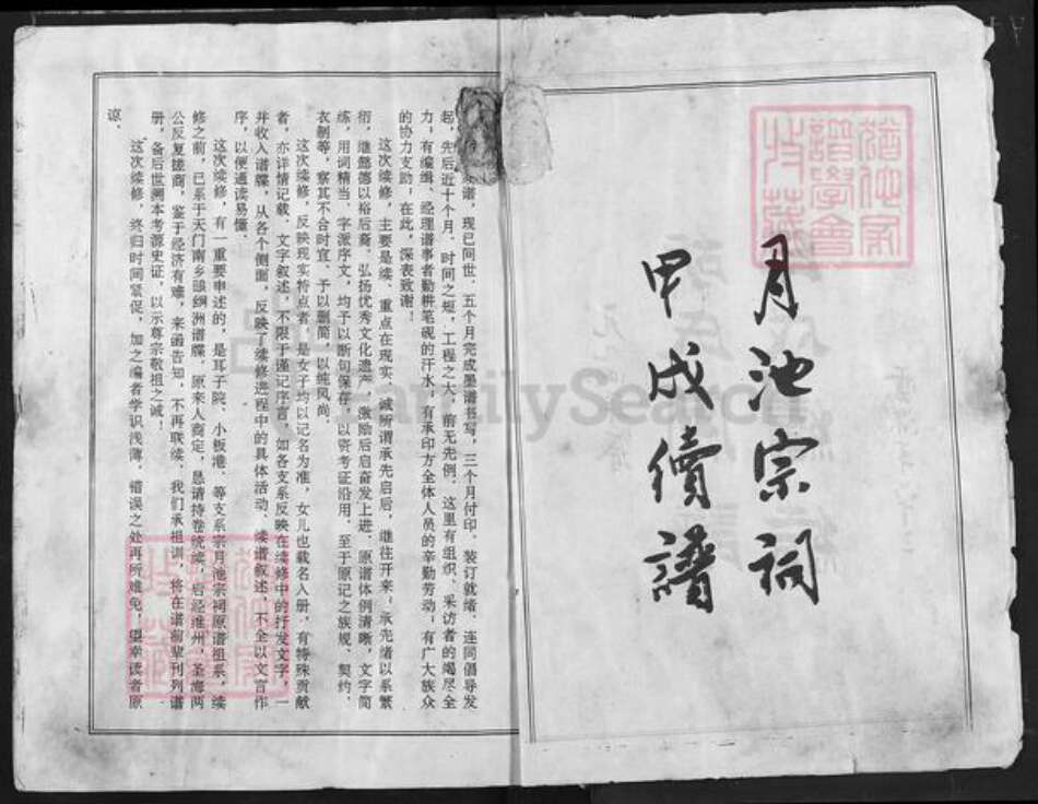 江西省宜春市奉新县胡氏族谱-胡氏宗谱.pdf电子版预览图3