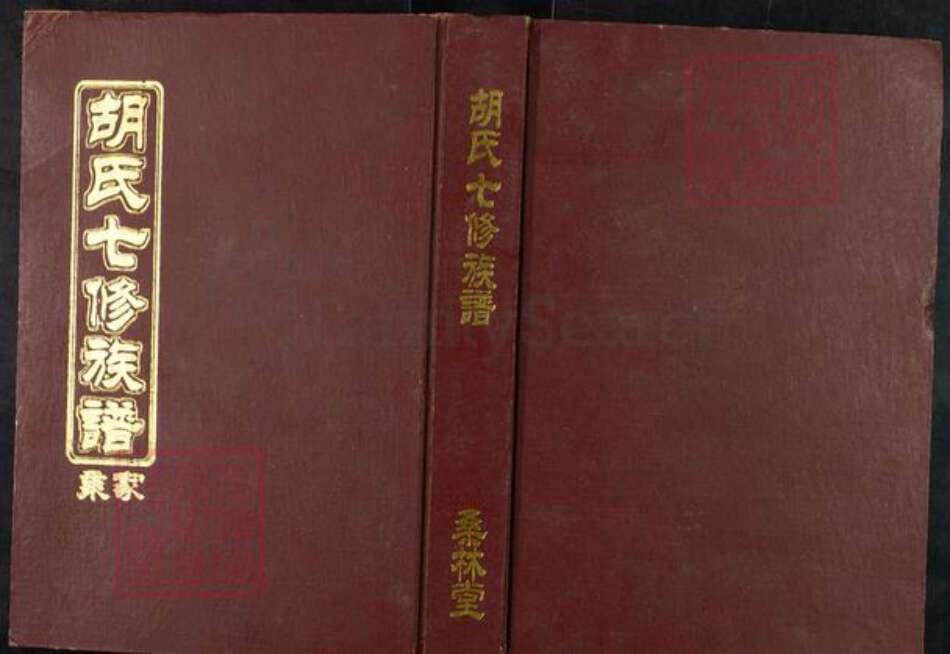 湖南省湘潭市湘乡市虞塘镇胡氏桑林堂族谱-桑林胡氏七修族谱.pdf电子版缩略图