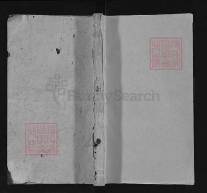 安徽省许氏安全堂族谱-许氏宗谱.pdf电子版缩略图