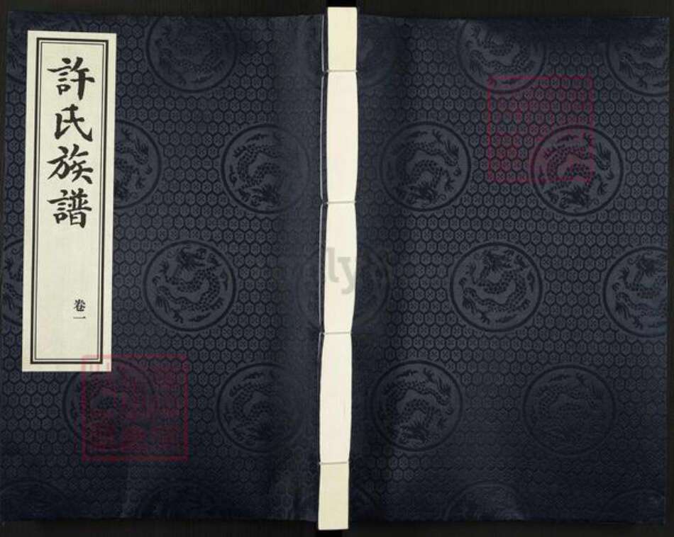 山东省聊城市高唐县许氏族谱-许氏族谱.pdf电子版缩略图