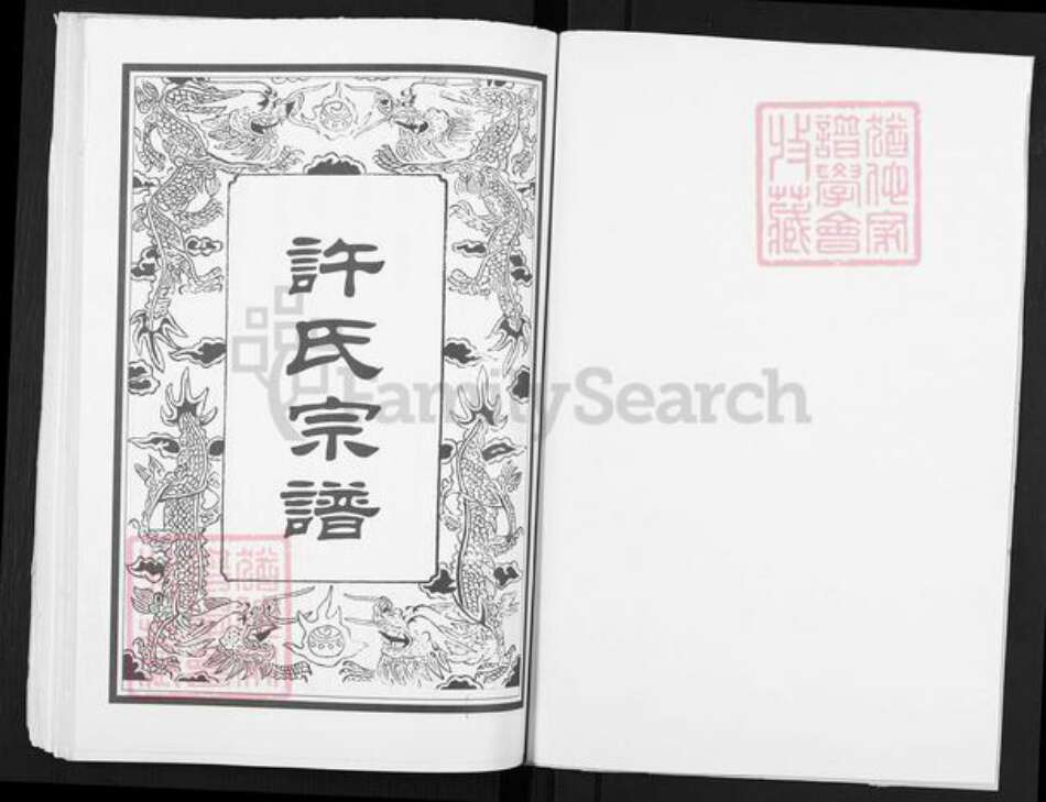 江苏省盐城市阜宁县益林镇许氏佐龙堂族谱-许氏宗谱.pdf电子版预览图1