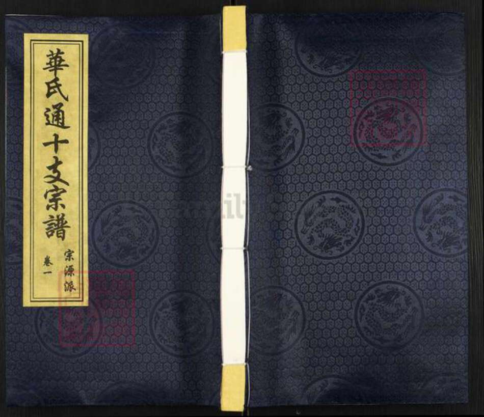 江苏省无锡市新吴区梅村街道华氏培元堂族谱-华氏通十支宗谱.pdf电子版缩略图