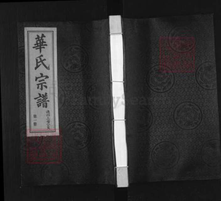 江苏省无锡市锡山区华氏存裕堂族谱-华氏宗谱.通四三省公支.pdf电子版缩略图