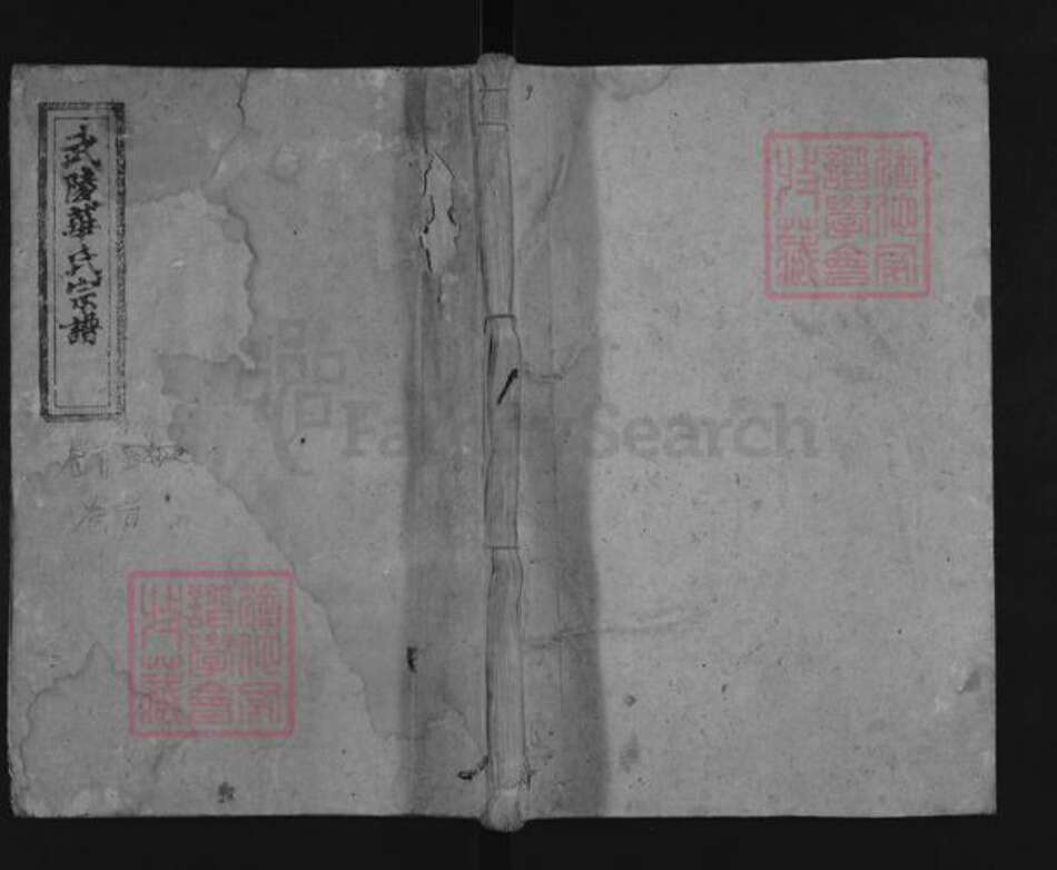 福建省龙岩市长汀县华氏武陵堂族谱-武陵华氏宗谱.pdf电子版缩略图