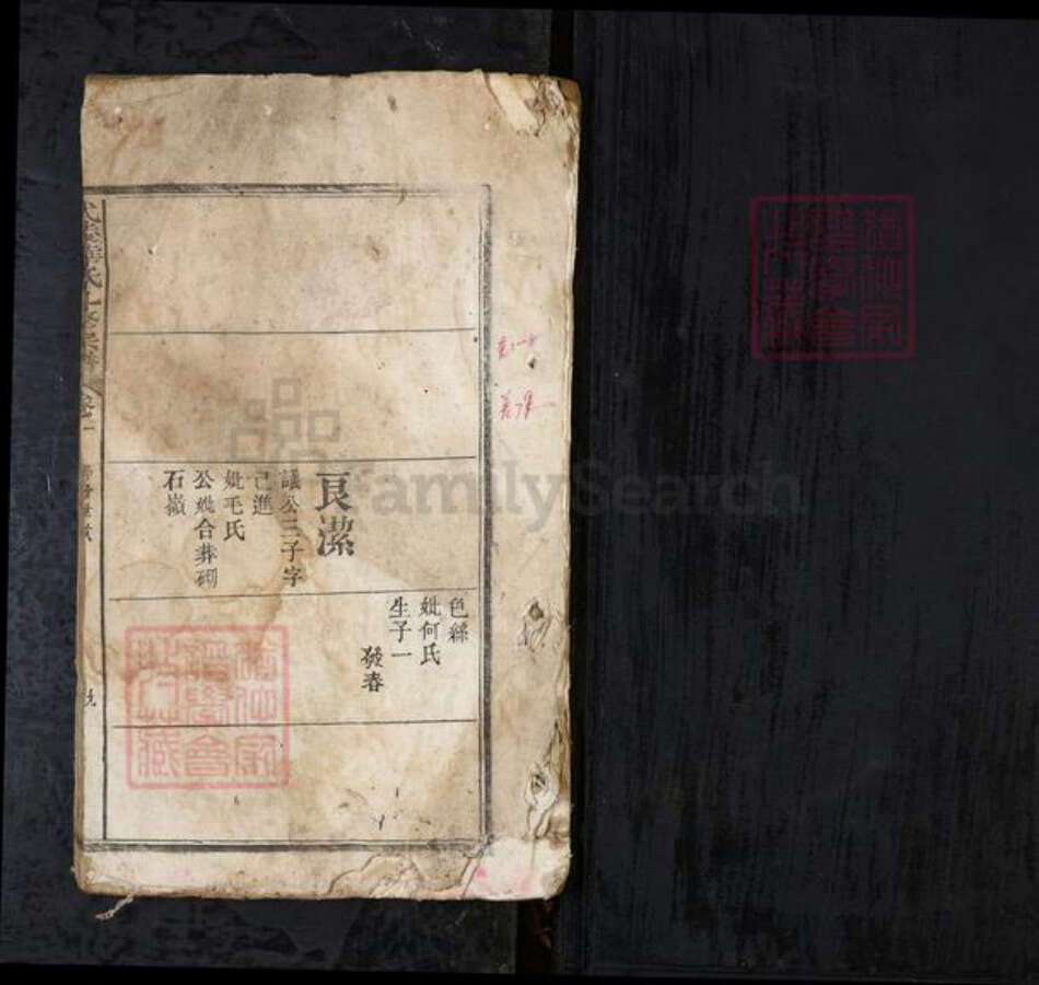 湖北省华氏族谱-武陵华氏九修宗谱.pdf电子版预览图1