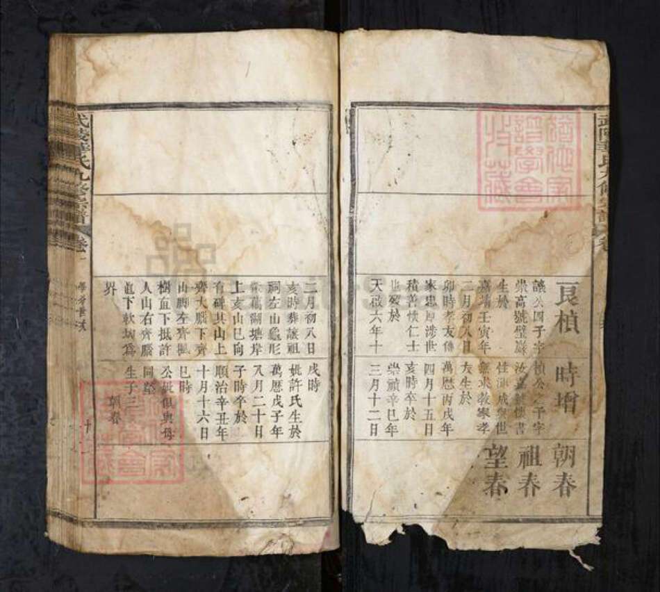 湖北省华氏族谱-武陵华氏九修宗谱.pdf电子版预览图2