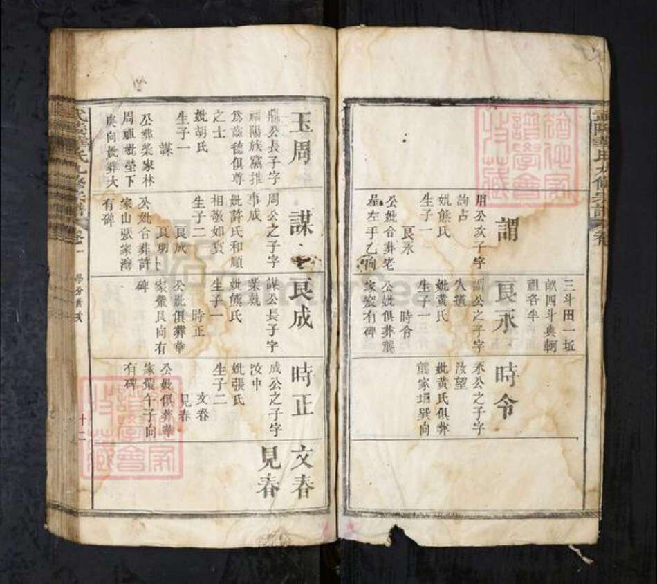 湖北省华氏族谱-武陵华氏九修宗谱.pdf电子版预览图4