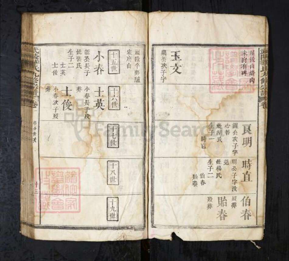 湖北省华氏族谱-武陵华氏九修宗谱.pdf电子版预览图5