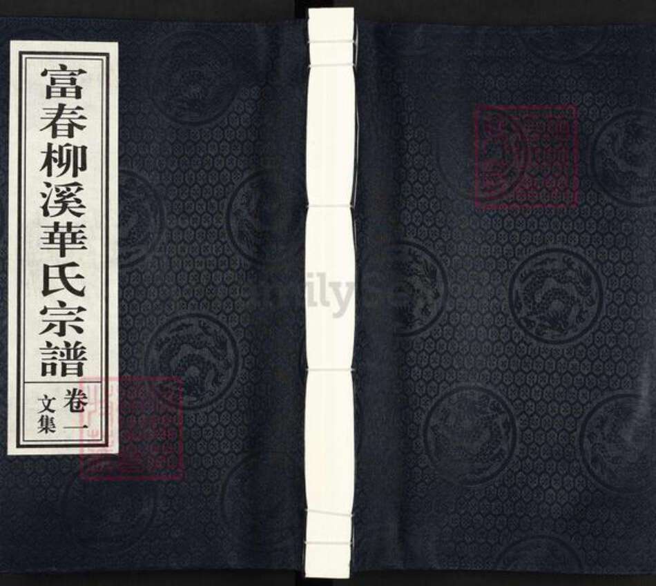 浙江省杭州市富阳华氏亦政堂族谱-富春柳溪华氏宗谱.pdf电子版缩略图