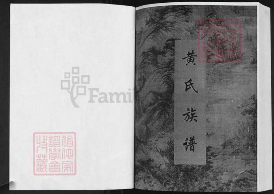 山东省淄博市博山区黄氏族谱-黄氏族谱.pdf电子版预览图1