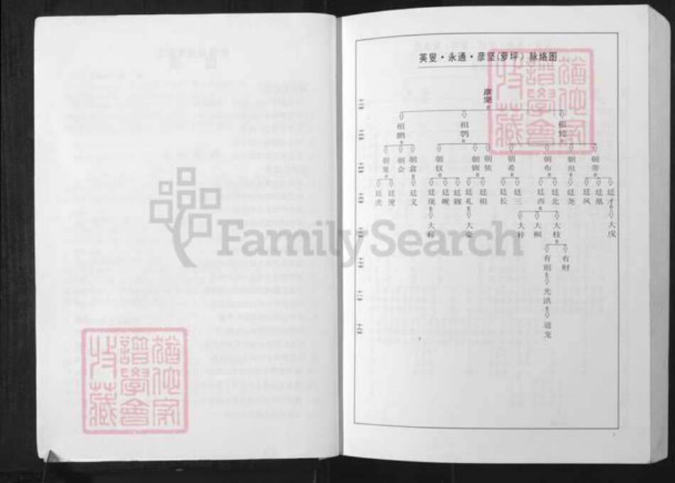 湖南省郴州市临武县万水乡黄氏族谱-洁溪黄氏宗谱.pdf电子版预览图2