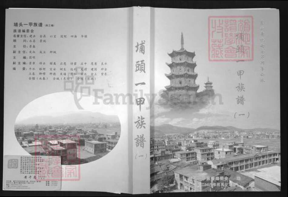 福建省泉州市南安市罗东镇黄氏族谱-紫云黄氏南安芦川孚公派.埔头一甲族谱.pdf电子版缩略图