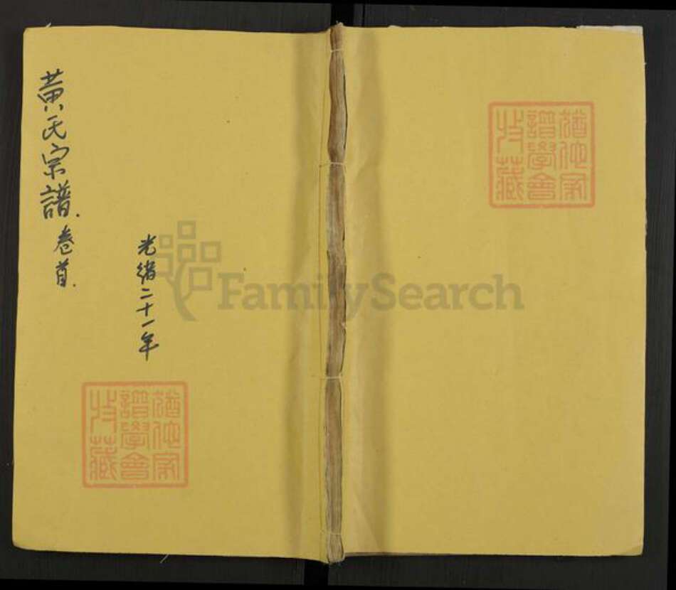 江苏省泰州市泰兴市黄氏中理堂族谱-黄氏宗谱.pdf电子版缩略图