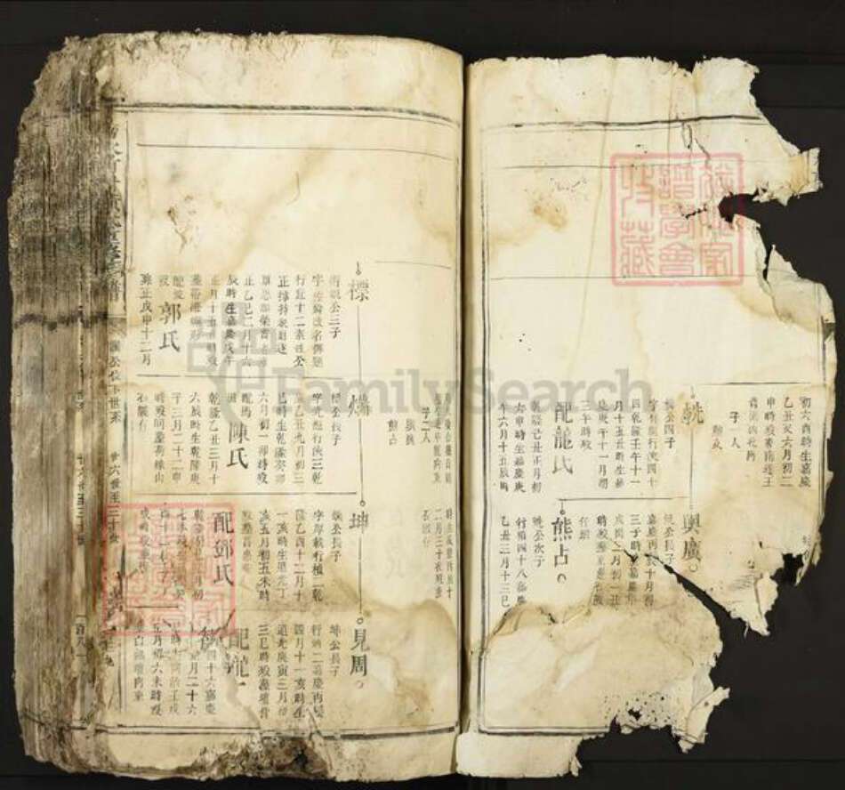 江西省吉安市吉水县黄氏族谱-吉水前村黄氏重修族谱.pdf电子版预览图2